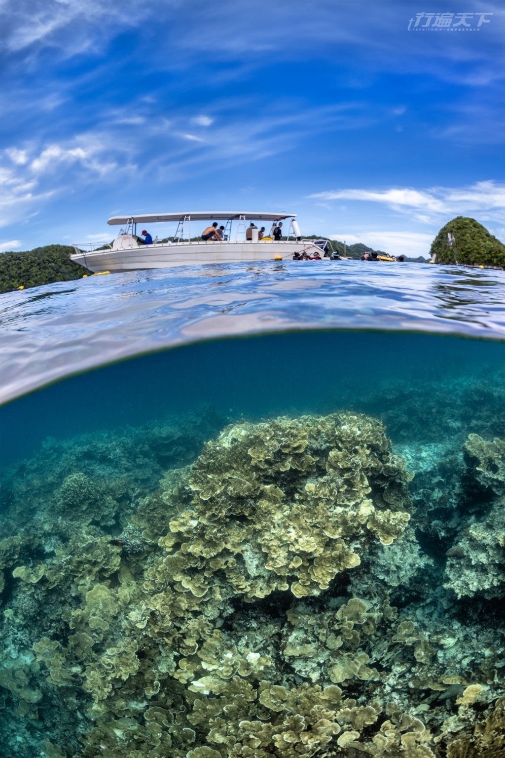 與鯊魚共游、體驗海洋泥SPA 探索上帝的水族箱「帛琉」 - 玩天下