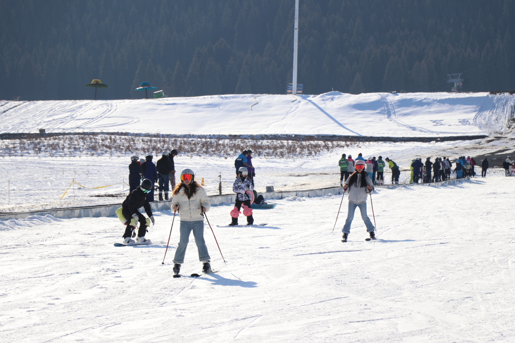 看大陸》天山腳下「冷資源」激活鄉村「熱經濟」