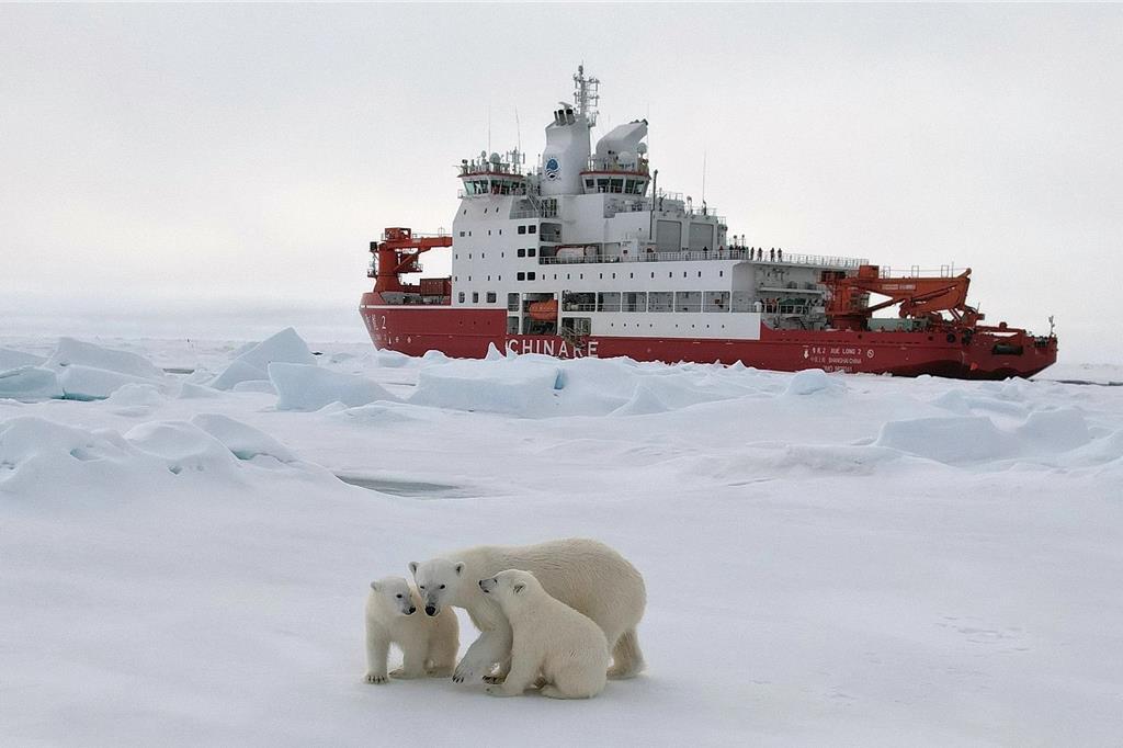 新華社記者在北極「上班」 都看到了什麼？