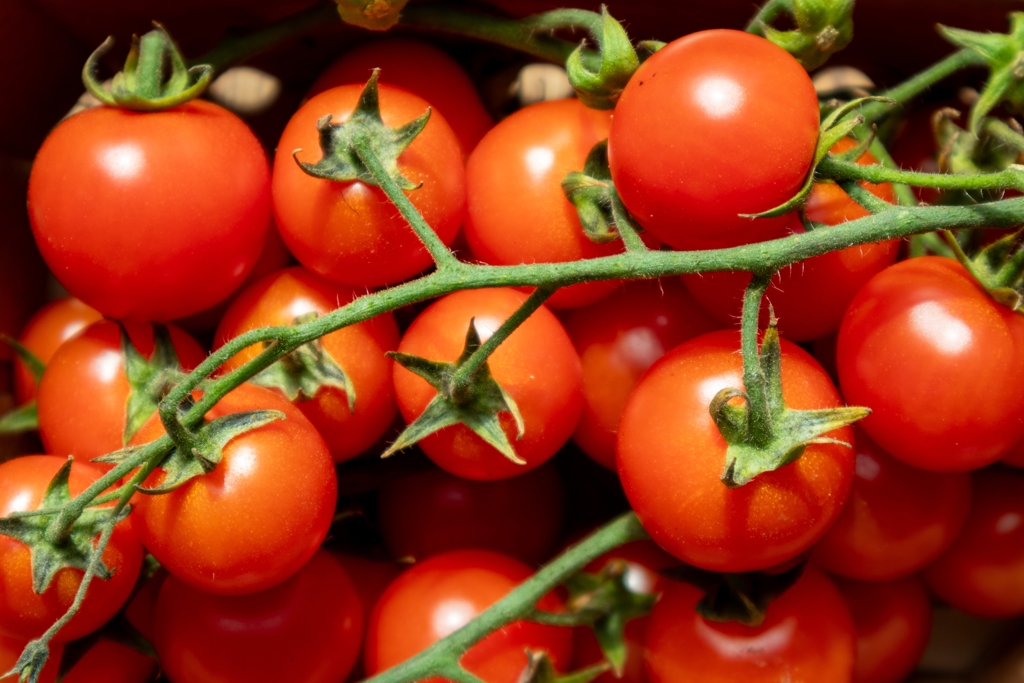 別直接啃番茄 研究曝2吃法：防癌營養秒飆3.8倍