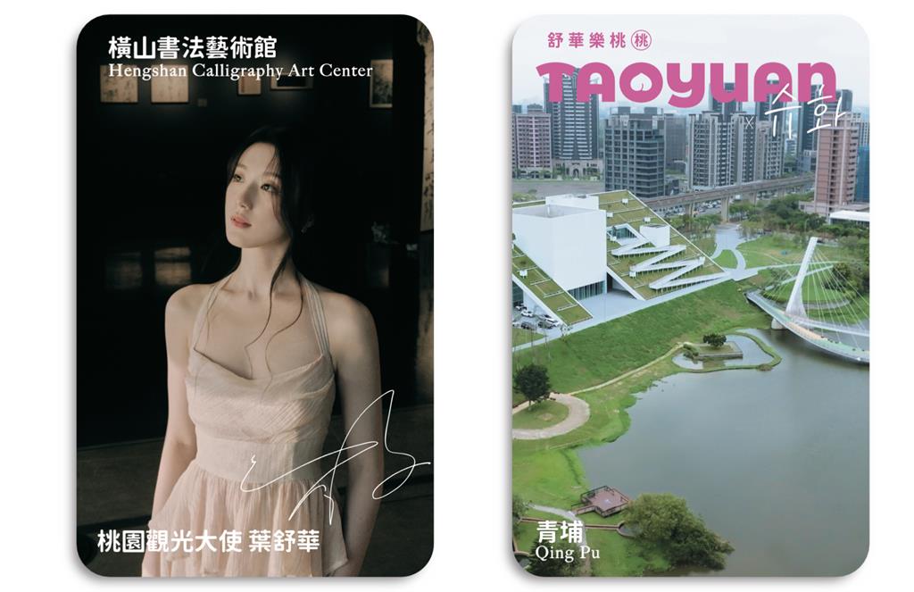 黑眼豆豆演唱會後遭批行銷不力 桃市府：觀光人潮已增1倍