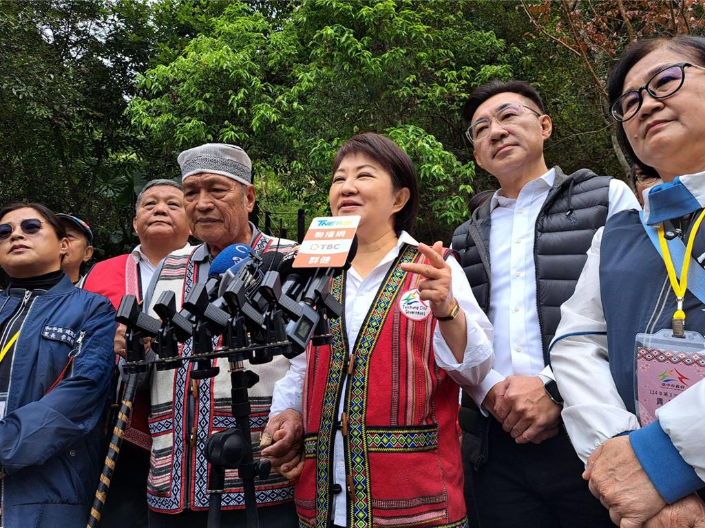 行政院提財劃法覆議案  盧秀燕：地方明年預算已嗷嗷待哺