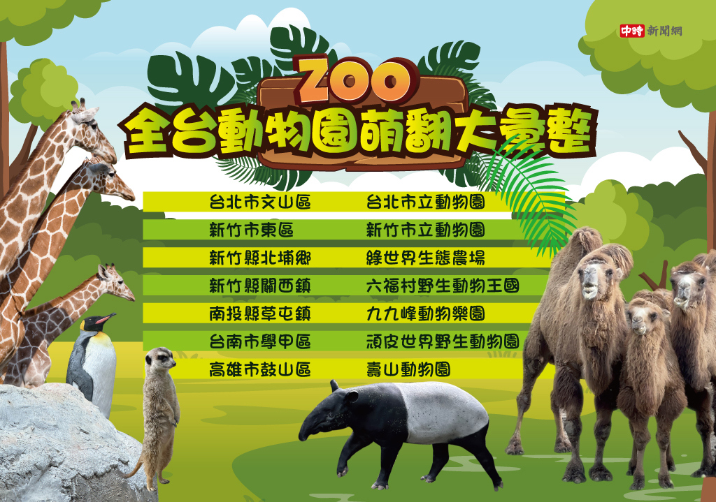 全台知名動物園大彙整。(中時新聞網)