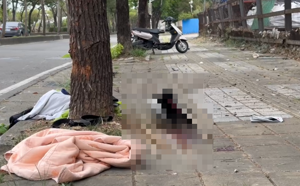 台中清晨驚悚車禍!男騎士猛撞路樹 頭部重創命危