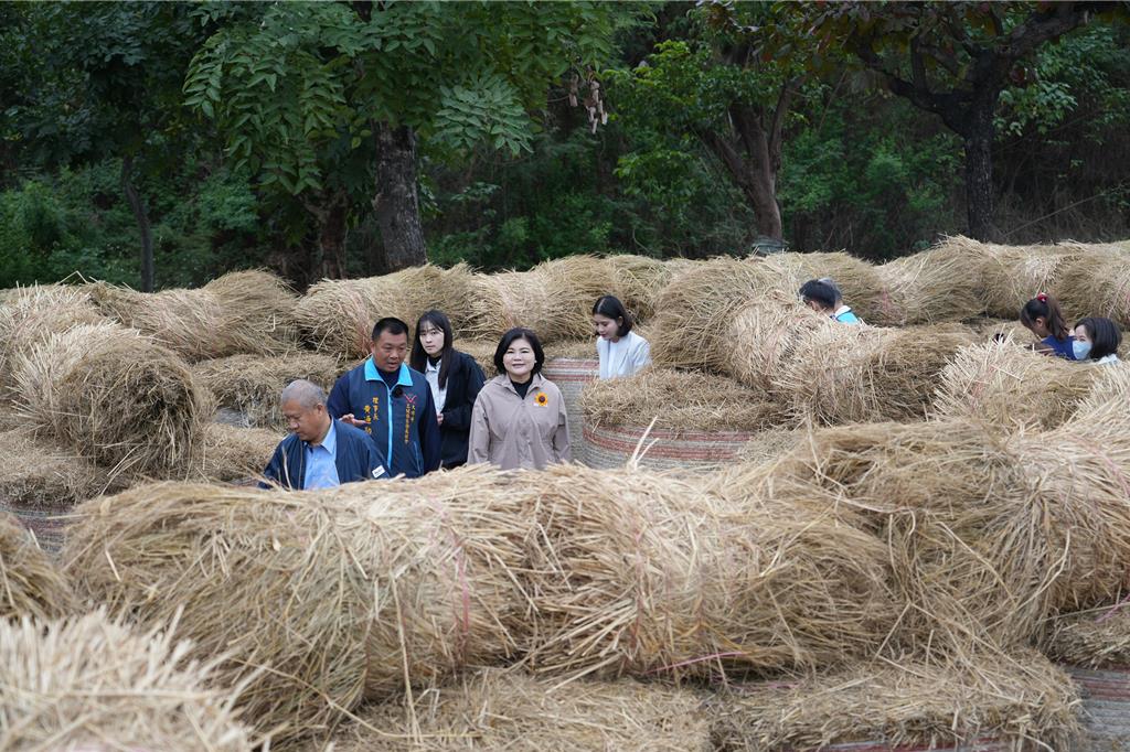 雲林農廢稻草變成迷宮 「大埤輪動場」12月開放玩耍