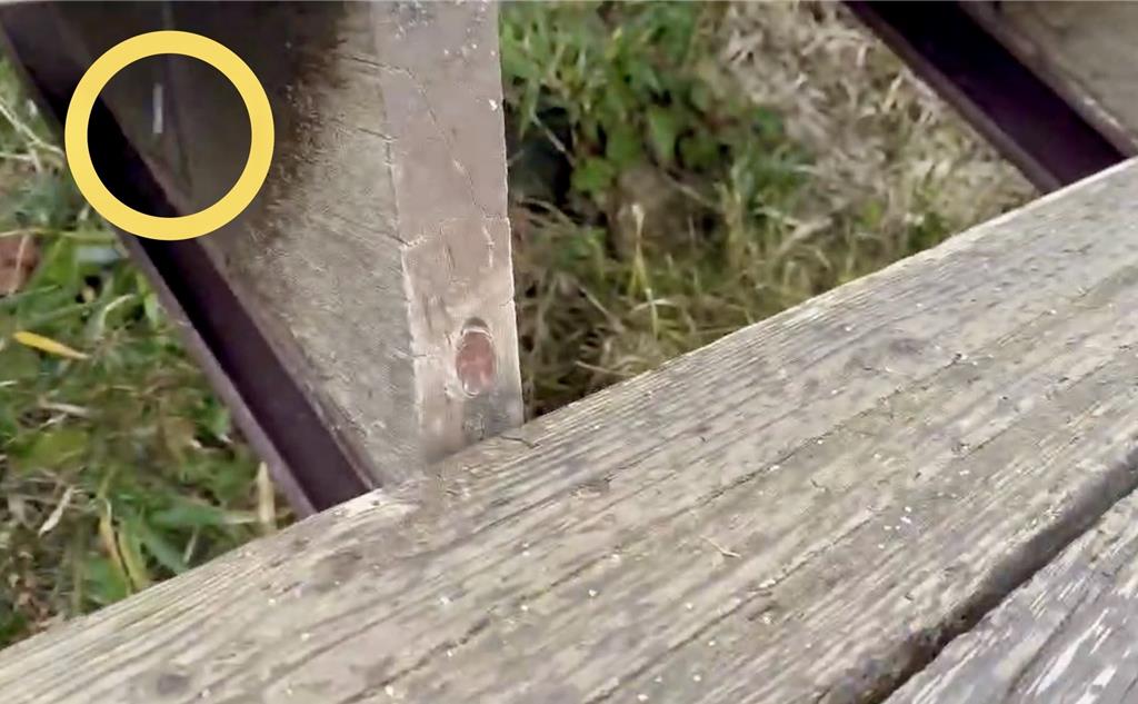 影》爬合歡山東峰巧「遇雨夾冰霰」 遊客直擊嗨翻