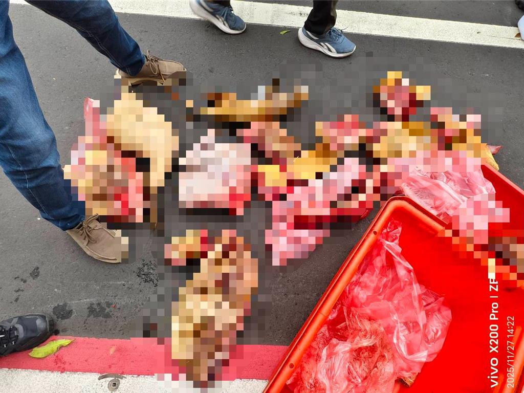 越籍移工疑賣狗肉 竹縣動保所查扣43公斤不明肉品