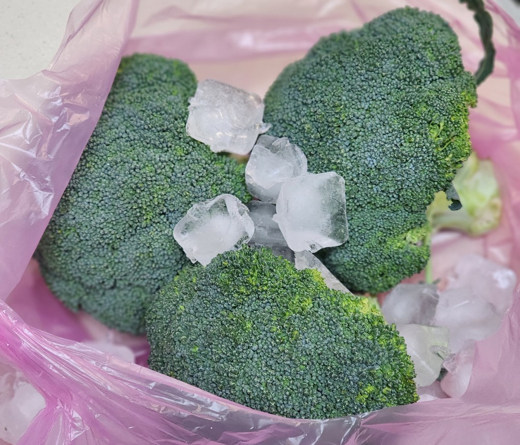 綠花椰菜不再變黃 達人「加冰塊密封」放10天像剛買一樣