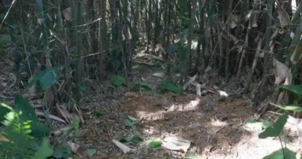 大叔挖蚯蚓竟掘出30公斤「精美大寶貝」 專家初判：來自千年前！