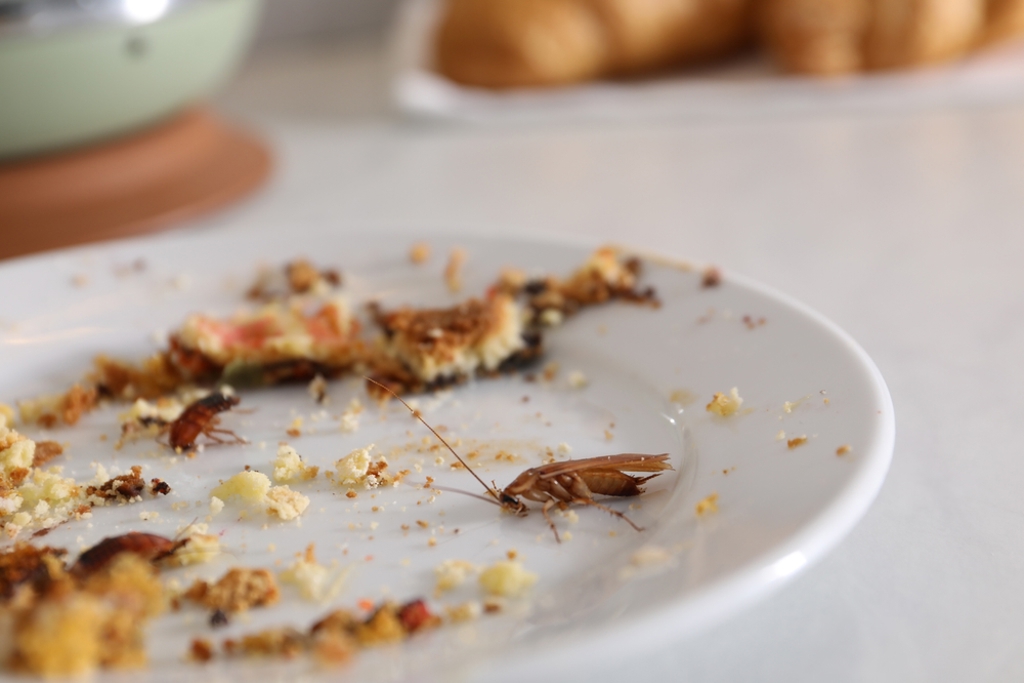 32歲男參加昆蟲大胃王比賽 生吞10公分蟑螂當場倒地爆吐不治