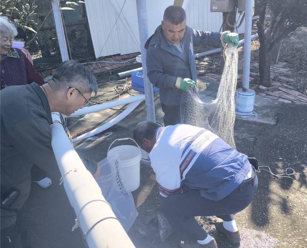 台灣鯛魚排驗出禁藥！漁民養魚30餘年喊冤：根本不會用藥