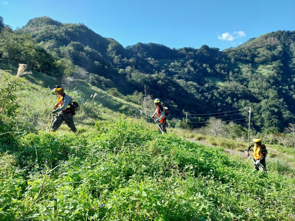 信義房屋攜手林保署 台東造林2公頃 記錄逾60種物種