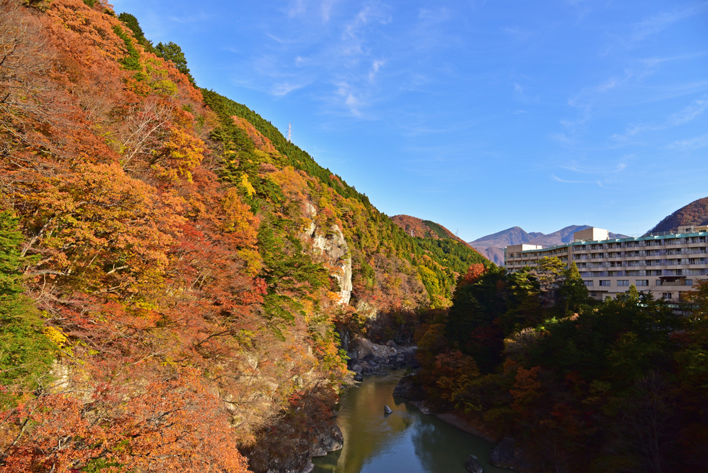 走到吊橋中間，可欣賞河岸秋色，並近距離觀賞懸崖上的楯岩。(東尼叔 攝)