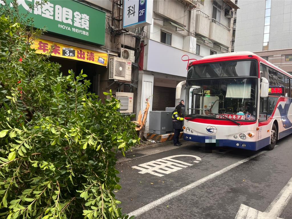新店公車撞斷路樹!攔腰折斷一度阻交通 幸無人受傷