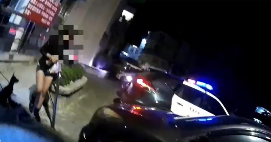 越南女載2狗路中「倒車」遭盤查  唾液一篩竟是毒駕