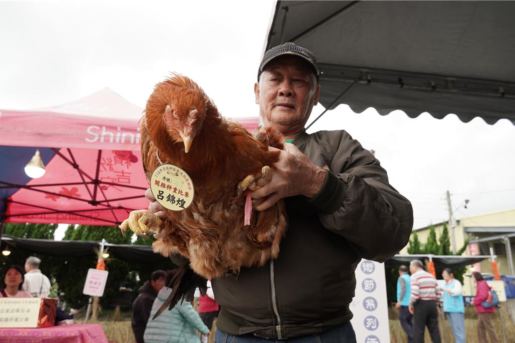 花蓮吉安閹雞秤重賽 14斤巨雞壓磅奪冠讓飼主「嚇兩跳」