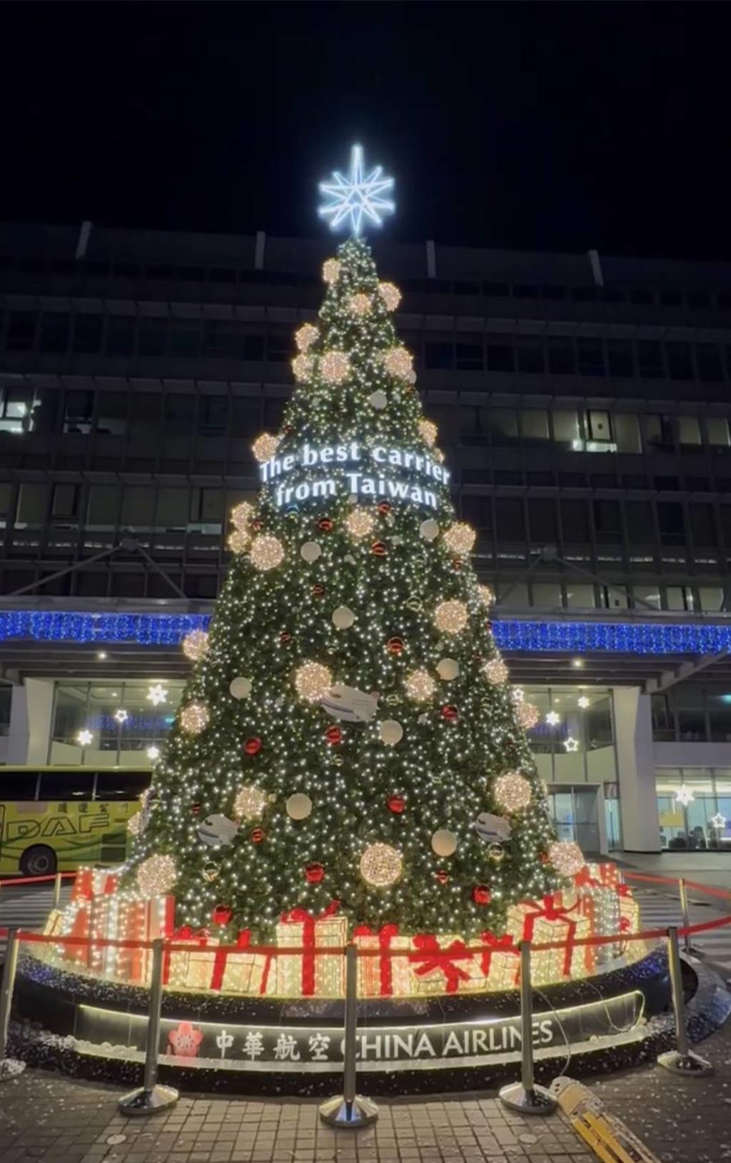 華航園區首見巨型耶誕樹 總座曝植樹初衷