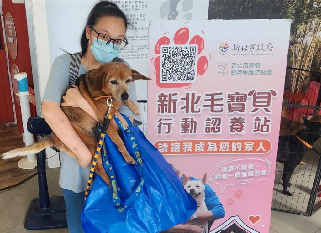 動物之家多熟齡混種毛寶貝 新北動保處多軌促認養