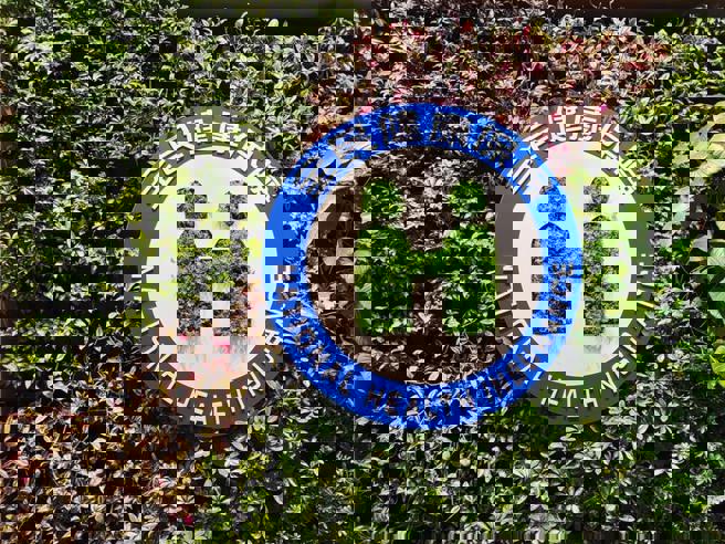 蘇一峰：大陸人士每年為健保增收5至8千萬 醫生質疑這讓青鳥怎麼活？