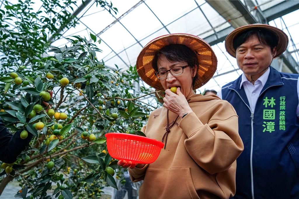 視察宜蘭金柑產業 蕭美琴盼科技輔導農業轉型