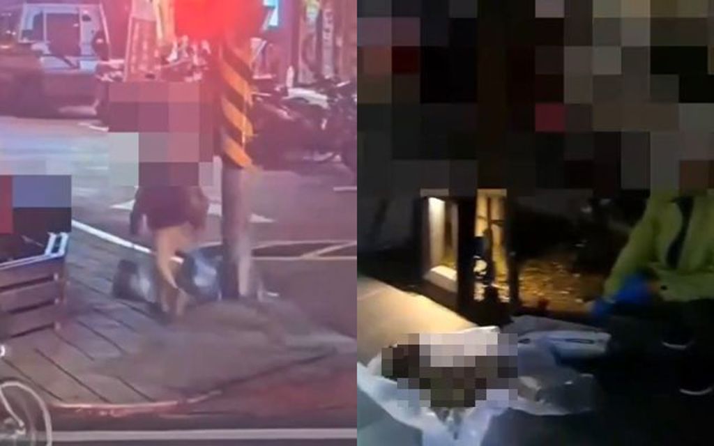 12隻死貓丟垃圾車！女卸責推給前男友 房東不忍爆料