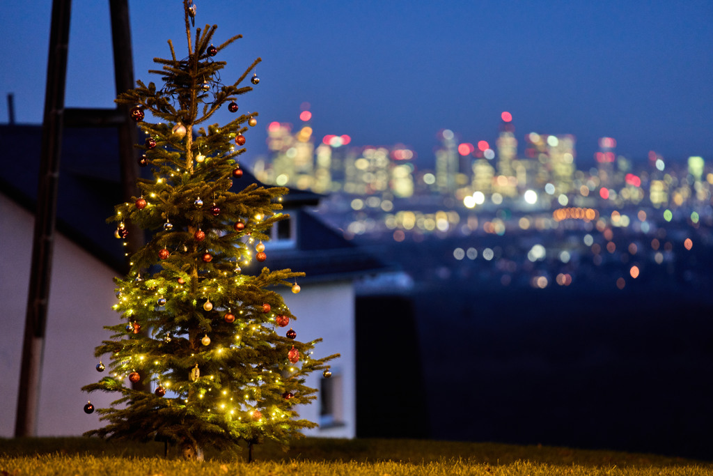 影》民宅「耶誕樹爆滿」621棵再創紀錄！屋主細數瘋狂史