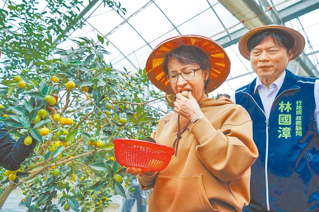 蕭美琴宜蘭視察24歲警交管被撞 陳琬惠轟腦子只剩選舉