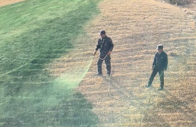 陝西興平枯草山坡噴綠色液體？官方：那是營養液不是漆