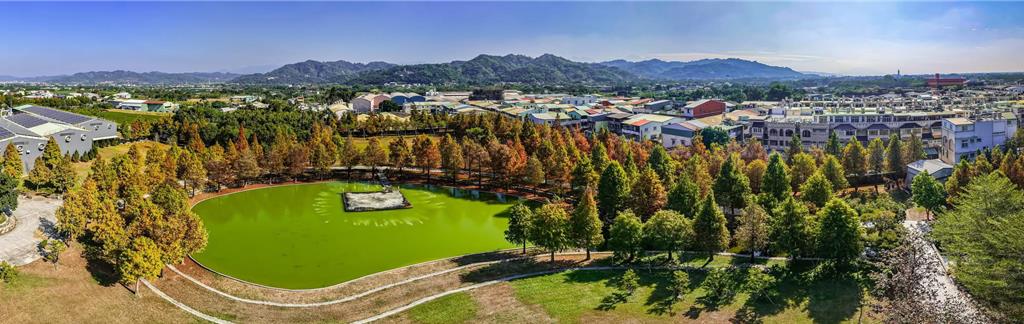 台3線旁、欣美公司栽種約800棵落羽松，約六成落羽松已轉色。（南投縣政府提供／楊靜茹南投傳真）