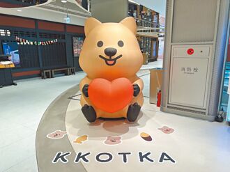 勾卡、為食妹快閃 交換禮物救星