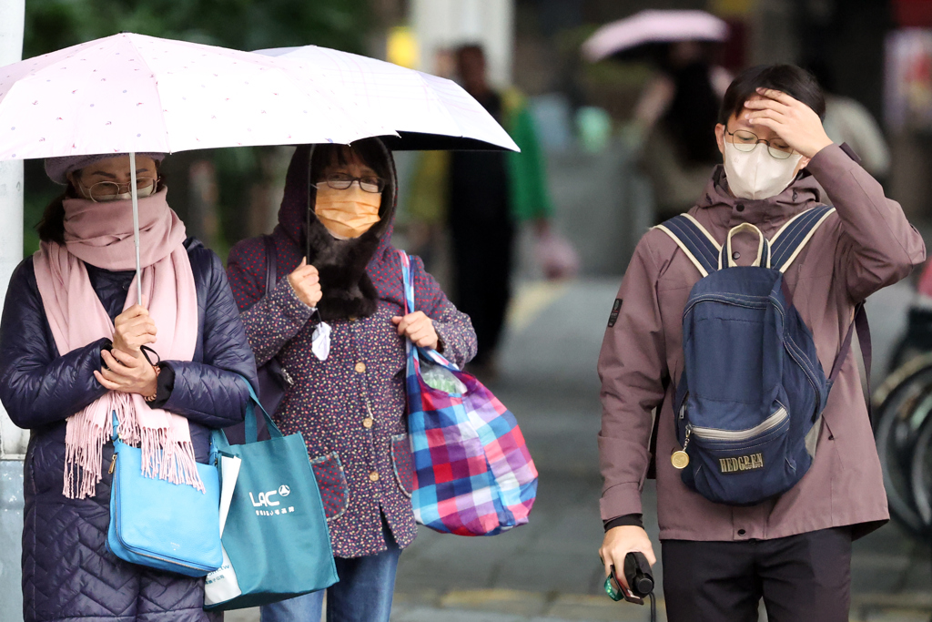 傘骨斷了徒手硬掰!妹子慘變「仙人掌」 連遭3診所拒收