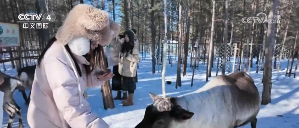 陸冷資源迸發熱動能 冰雪季消費升級成為經濟成長黃金季