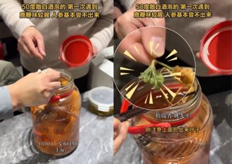 鹿茸人參酒泡3年竟長綠葉 網虧：再泡就開花了