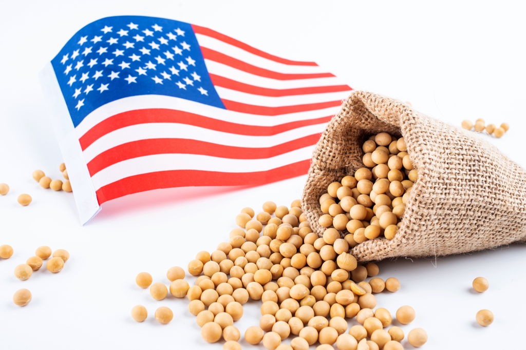 備戰美國大豆到港!中國大陸加速清空庫存 110萬噸大豆拍賣一空