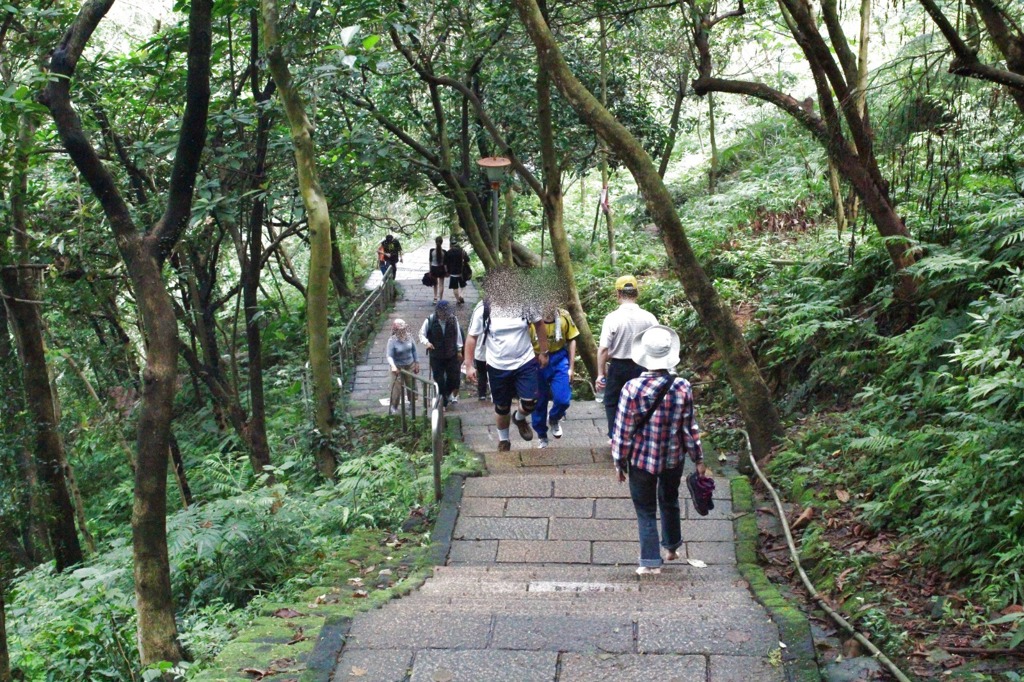 虎山親山步道既坐擁山林與溪谷美景,登高又能享受遼闊視野,且全程平緩好走甚至有捷徑,對銀髮族超級友善。(大地處提供)