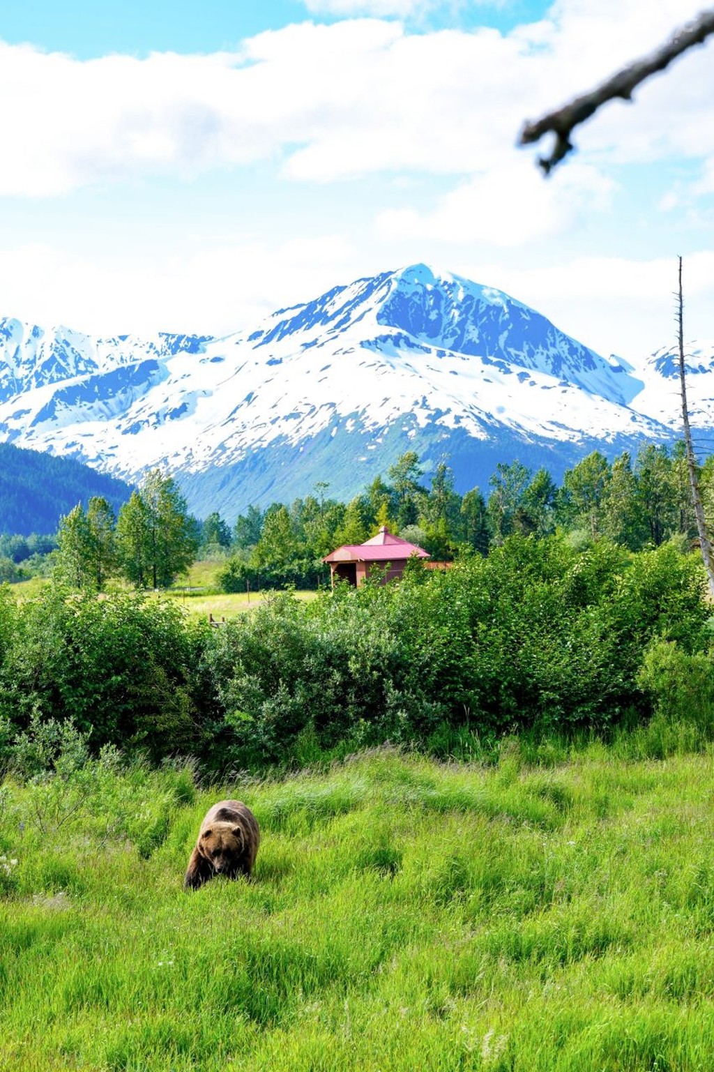 ▲保育區的雪山風景，如油畫般夢幻，令人驚嘆。(行遍天下提供/圖：Terrence Shih)