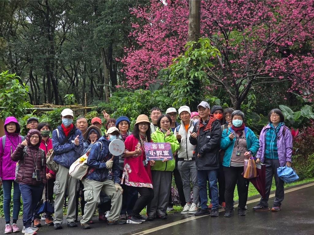 2026花見櫻花季期間，旅學堂推出期間限定的「櫻花慢旅」走讀活動。（取自新北市景觀處臉書）
