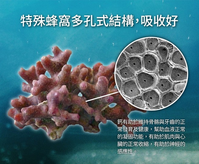 馬年迎新送健康一錠白金級保健禮盒