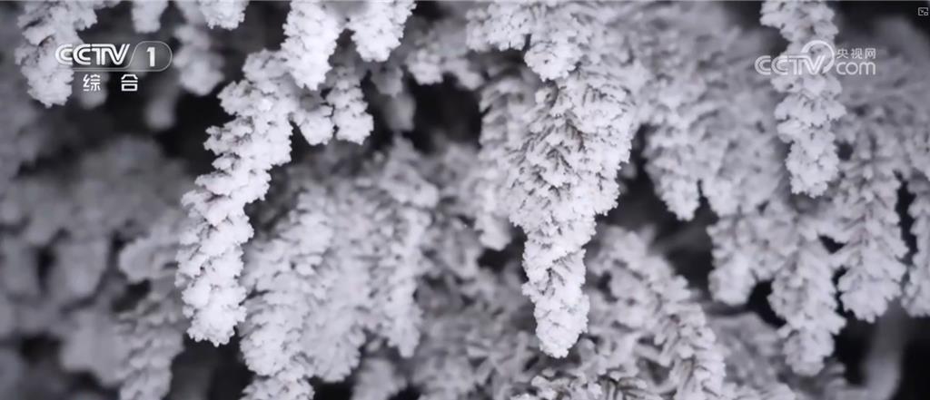 -37℃!遼寧啟動「一區一策」供暖 陸多地停課、交通受阻