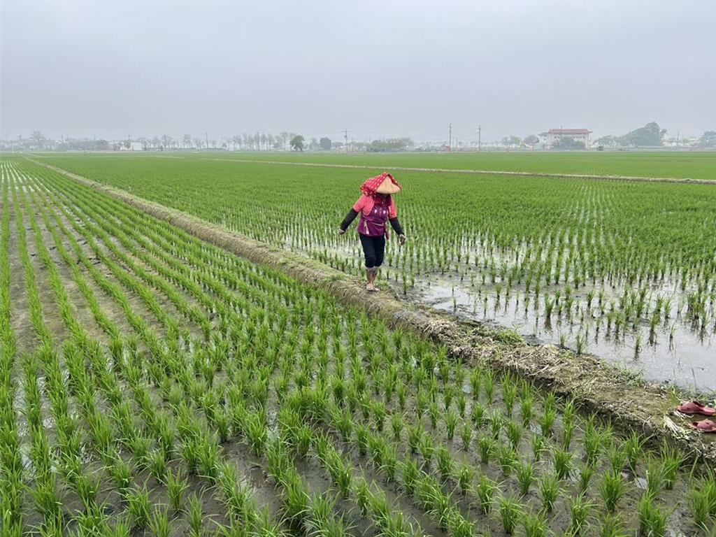 營建土方回填引爭議 雲林縣府:農地不該成為去化場