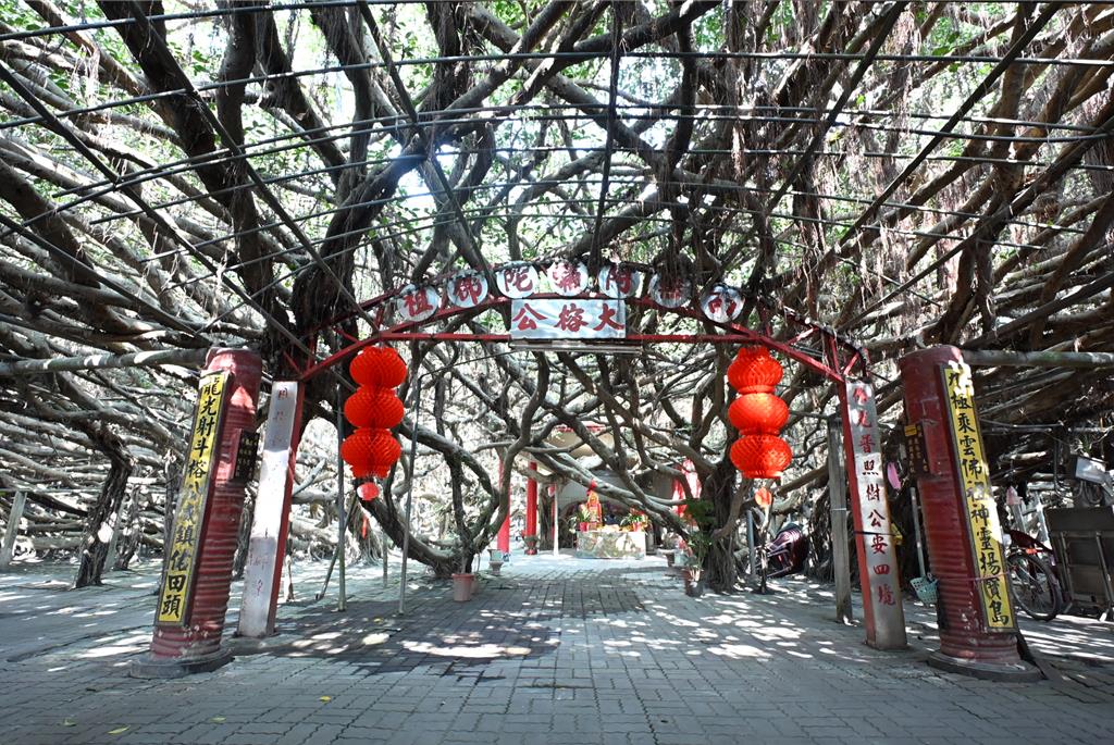 彰化九龍大榕公斥逾4400萬改造 打造複合式觀光園區年底完工