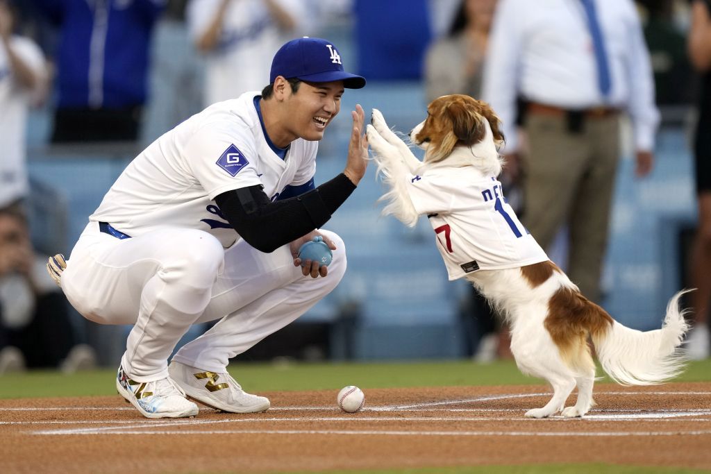 MLB》全票MVP還不夠!大谷翔平愛犬獲頒首屆「MVD」獎項