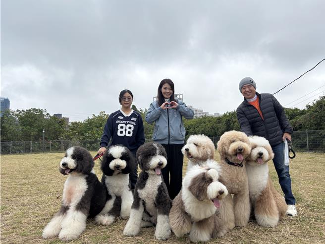 新竹市北區首座寵物公園啟用 毛小孩開箱體驗