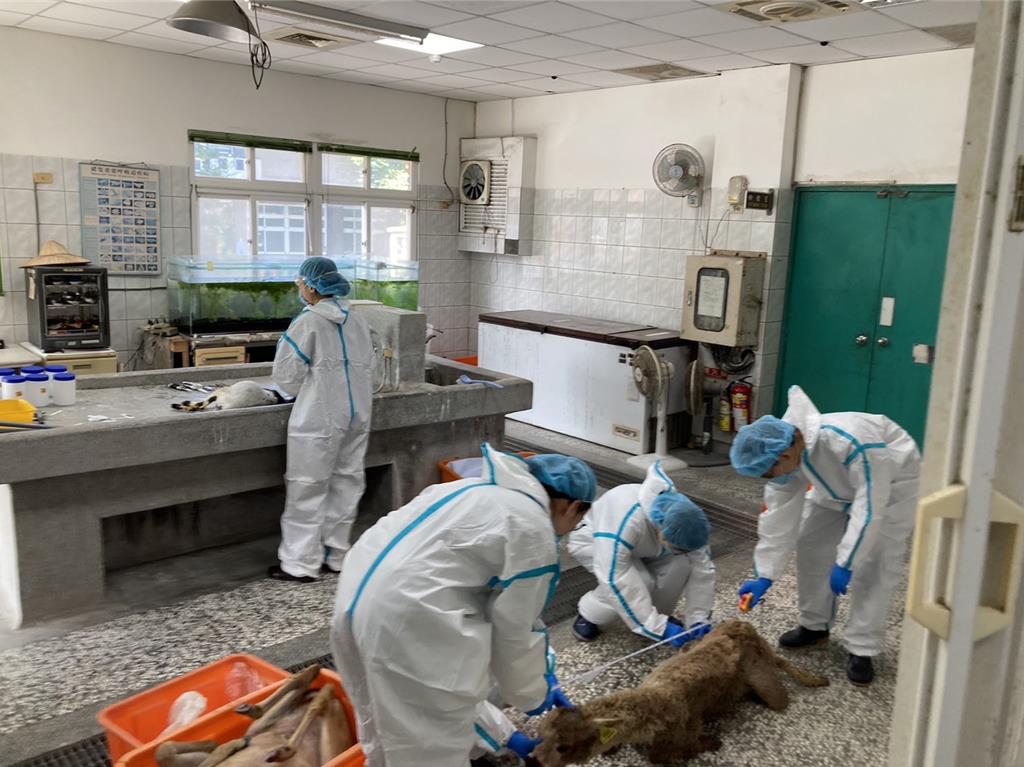 全台首例空拍機投毒!因不爽員工跳槽 農場負責人下殺手