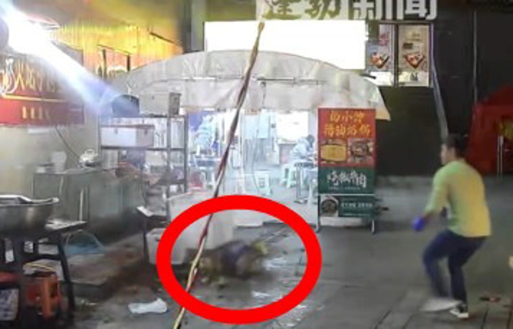 善心烤魚店老闆餵浪貓! 驚險躲過飛來死劫