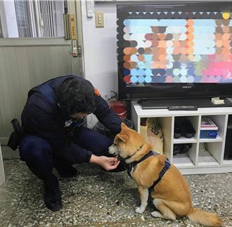 「柴柴」也逛大賣場？　內湖警帶回安置尋獲飼主
