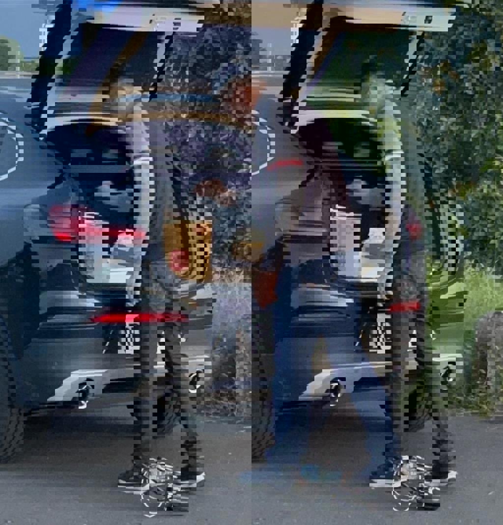 投毒殺動物後神隱!張美阿嬤農場三姊曝分家內幕轟:這是他策略