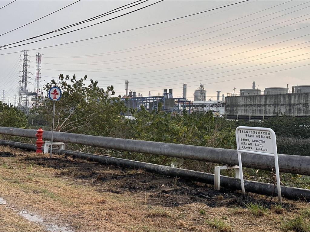抓綠鬣蜥誤觸6.9萬伏特高壓!害4大廠停電5小時 獵手恐面臨鉅額求償
