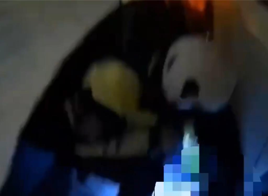 闖空門狂偷還拒檢竄逃 板橋慣竊躲車底被眼尖警揪出