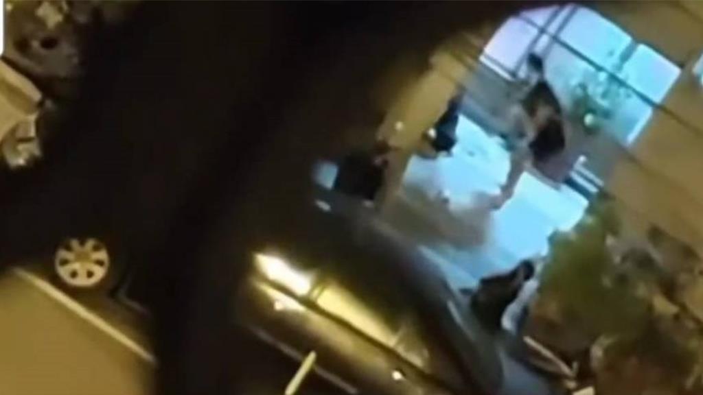 虐狗影片瘋傳!台中飼主辯遭咬傷教訓 動保處扣犬送醫恐重罰34萬